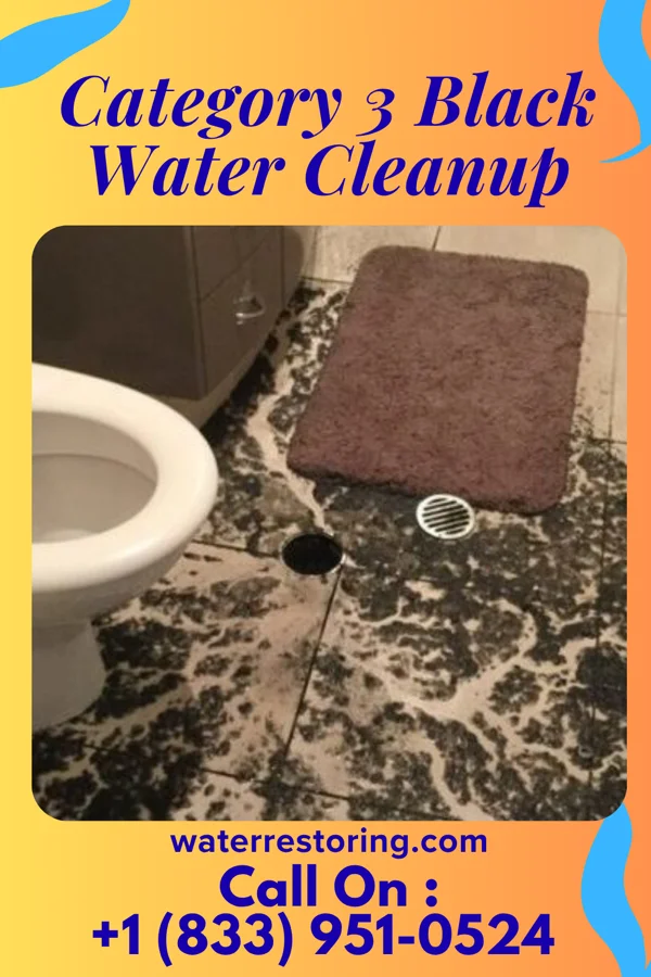 Category 3 Black Water Cleanup in Drew, MS