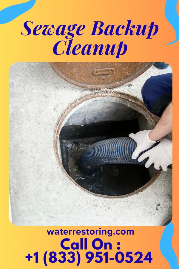 Sewage Backup Cleanup in Drew, MS