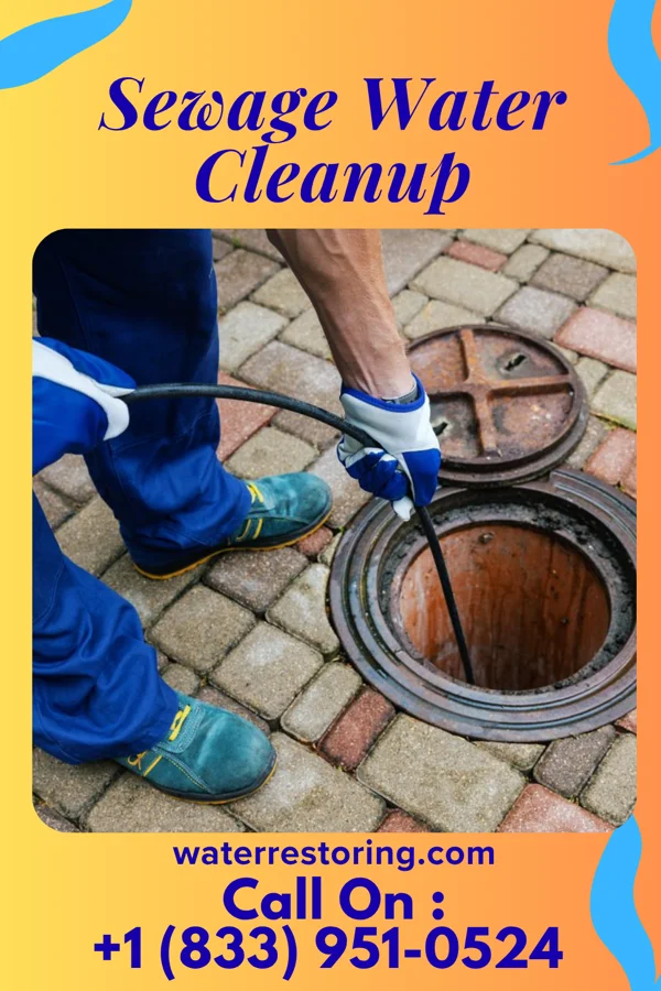 Sewage Water Cleanup in Drew, MS